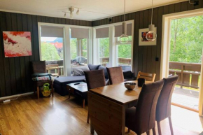 Super sentral, flott og solrik leilighet i sentrum, Hemsedal